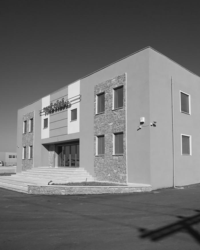 Commercial warehouse in Kaloxori (Thessaloniki, 2005 – contractor company: ANADOMI SA)